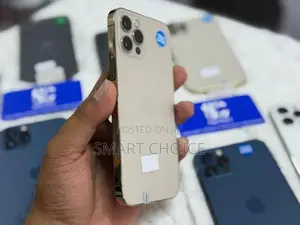 Apple iPhone 12 Pro 256GB 5G G (Used)