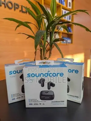 Anker Soundcore P30i ANC / R50i NC Earbuds