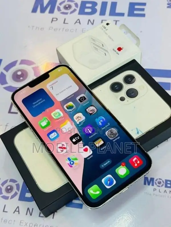 Apple iPhone 13 Pro 5G 256GB (Used)