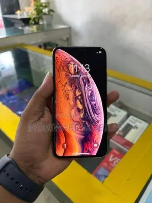 Apple iPhone XS 256GB. (Used)