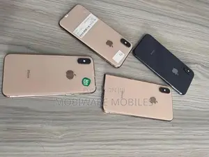 Apple iPhone XS 256GB (Used)
