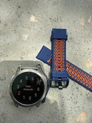 Garmin Smart Watch