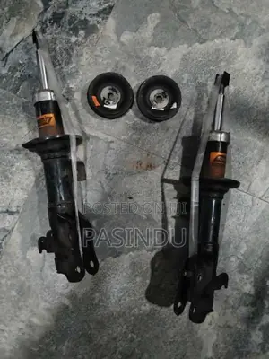 Shock absorber with shock mount for Car