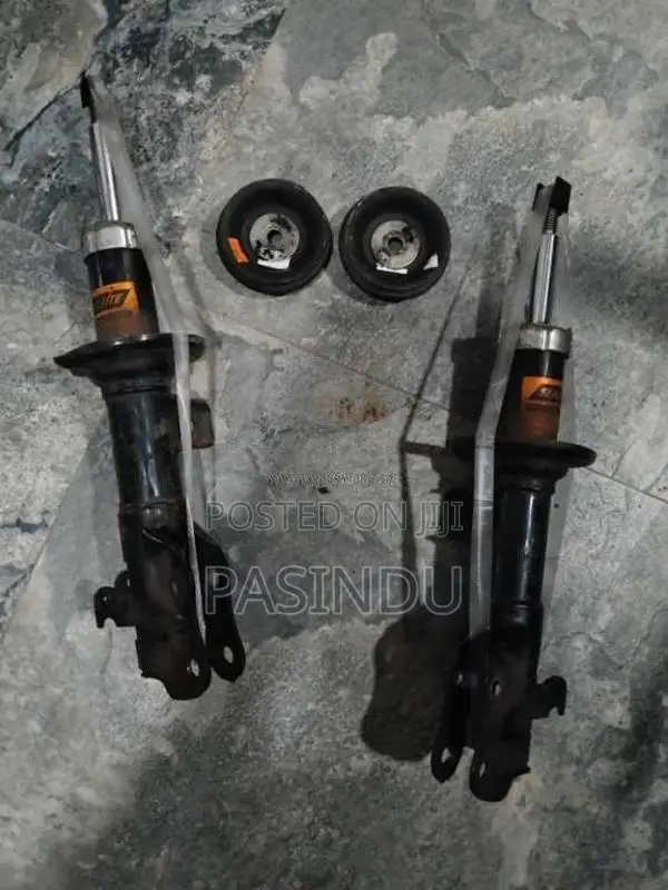 Shock absorber with shock mount for Car