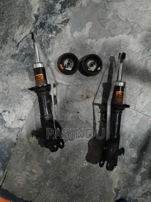 Shock absorber with shock mount for Car