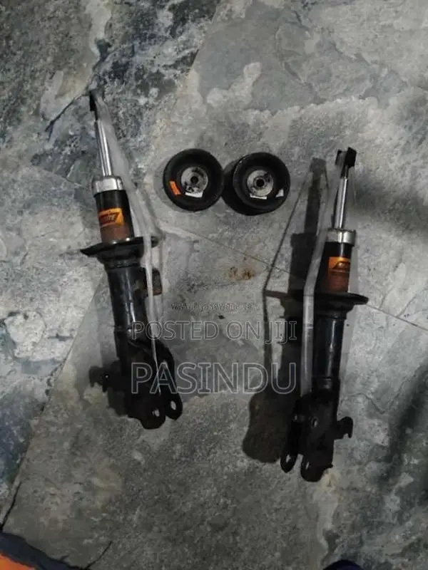 Shock absorber with shock mount for Car