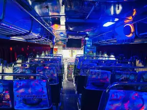 Ashok-Leyland Viking 2017 Bus (Used)