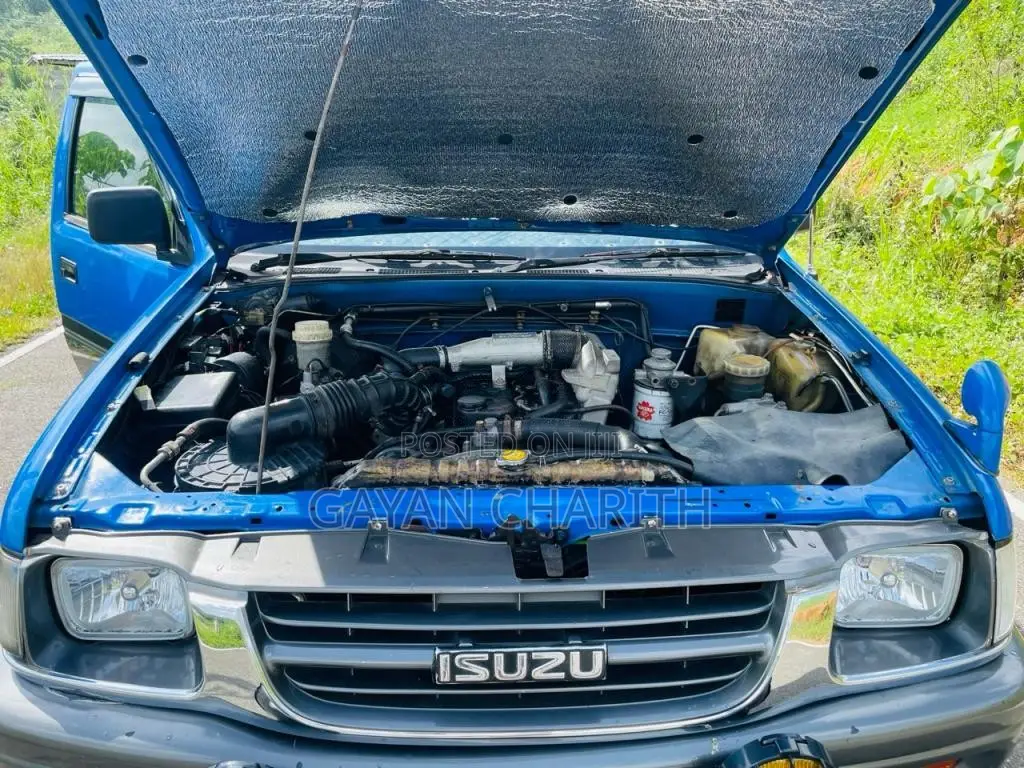 Isuzu Double Cab 4WD 1998 Pickup (Used)