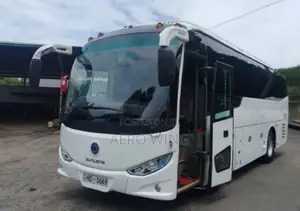 Micro Sunlong 2018 Bus (Used)