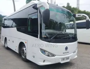 Micro Sunlong 2018 Bus (Used)