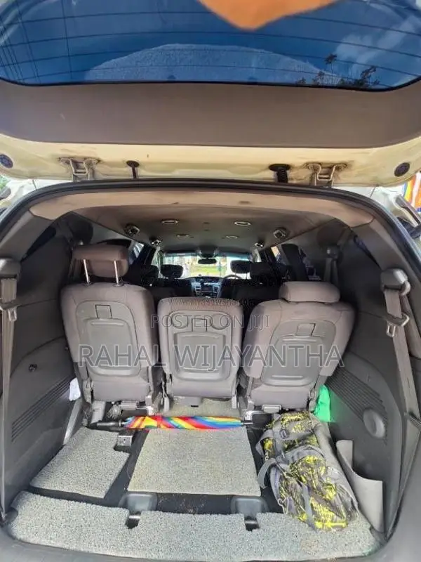 Micro Rodius 2017 Van (Used)