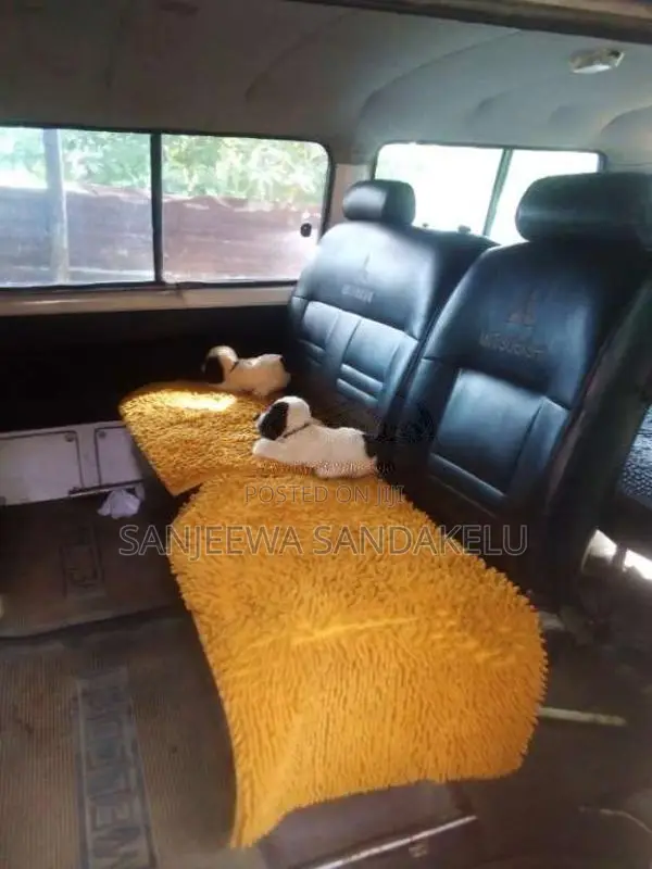 Mitsubishi L300 1986 Van (Used)