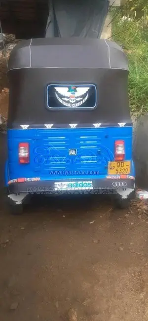 Bajaj RE 2006 Three Wheel (Used)