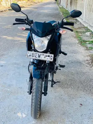 Honda HORNET 2016 Motorbike (Used)