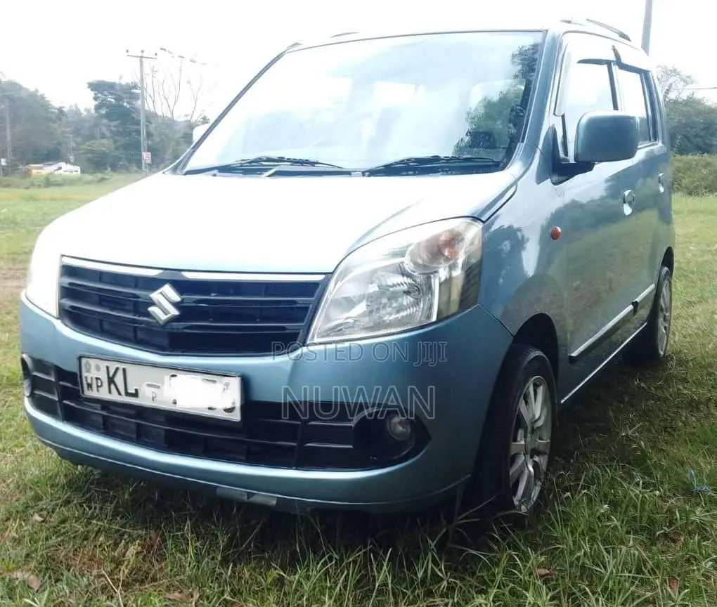 Suzuki Wagon R 2011 Car (Used)