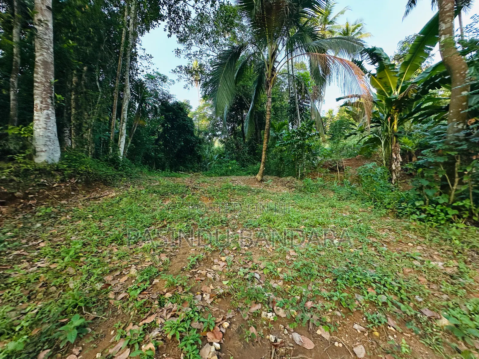 Land for Sale in Deewala Road Gansaba Junction 200M