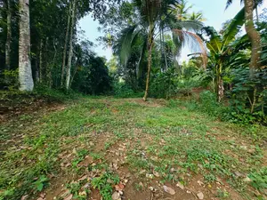 Land for Sale in Deewala Road Gansaba Junction 200M