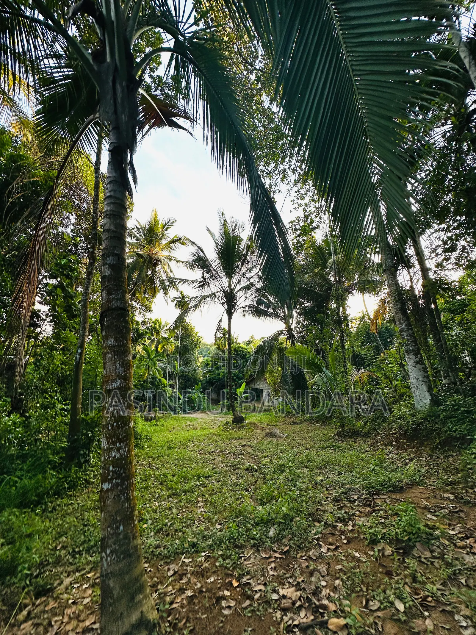 Land for Sale in Deewala Road Gansaba Junction 200M