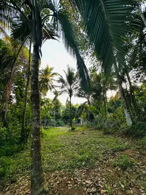 Land for Sale in Deewala Road Gansaba Junction 200M