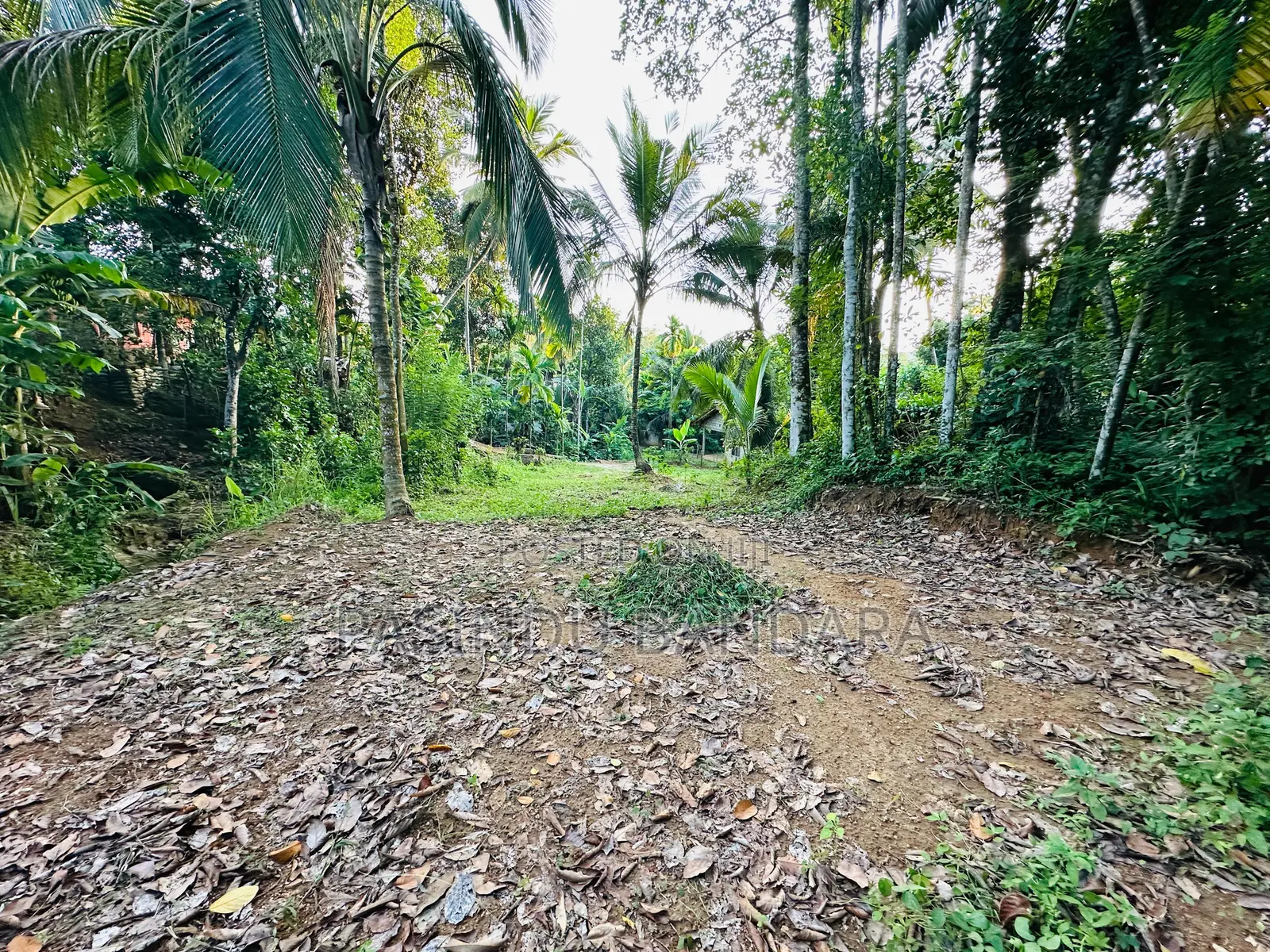 Land for Sale in Deewala Road Gansaba Junction 200M