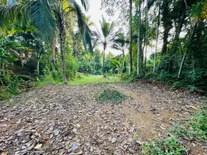 Land for Sale in Deewala Road Gansaba Junction 200M