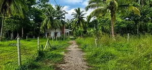 දඩිගමුව ඉඩමක්