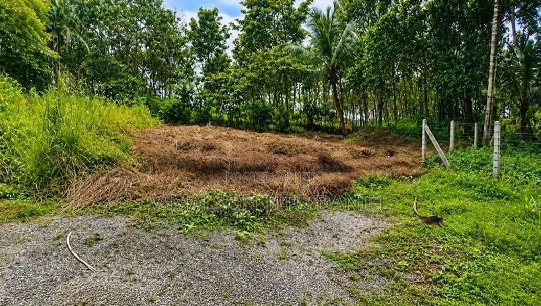 දඩිගමුව ඉඩමක්