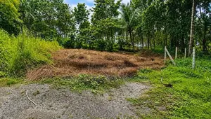 දඩිගමුව ඉඩමක්