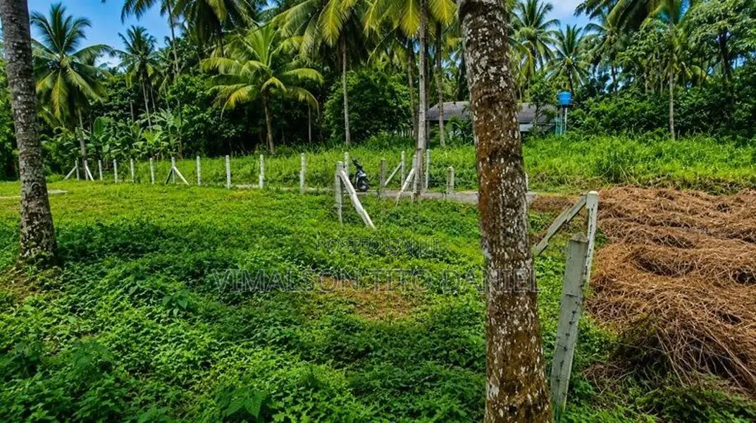 දඩිගමුව ඉඩමක්
