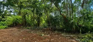 දඩිගමුව ඉඩමක්