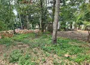 270 Perches of Commercial Land for Sale in Malabe