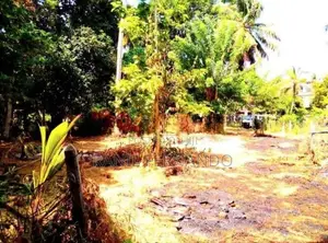 Land For Sale In Katuneriya