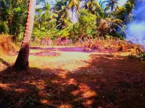 Land For Sale In Katuneriya