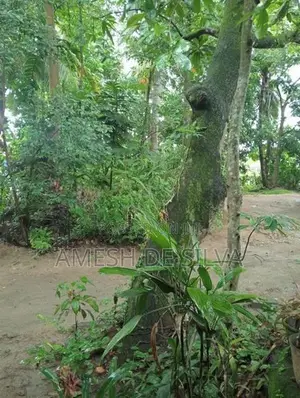 Land with House for Sale in Mawanella