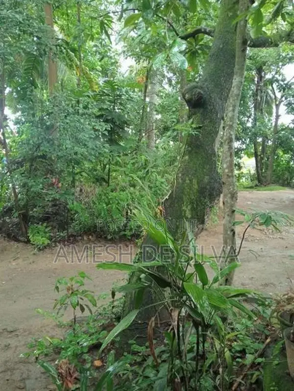 Land with House for Sale in Mawanella