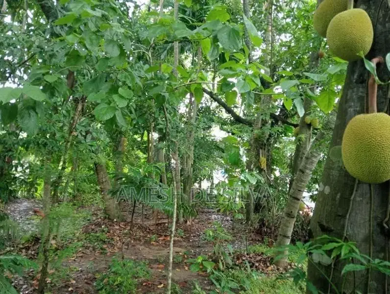Land with House for Sale in Mawanella