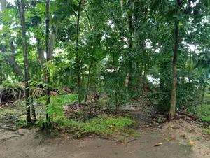 Land with House for Sale in Mawanella