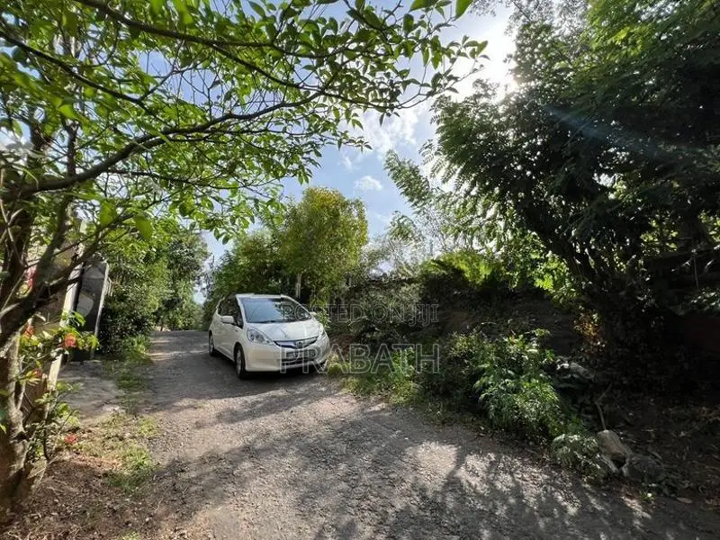 Land for Sale in Balagolla Pallekale