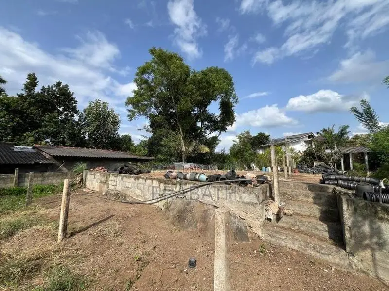 Land for Sale in Balagolla Pallekale