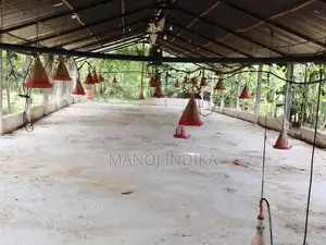 Poultry Farm for Sale Kanaththewewa