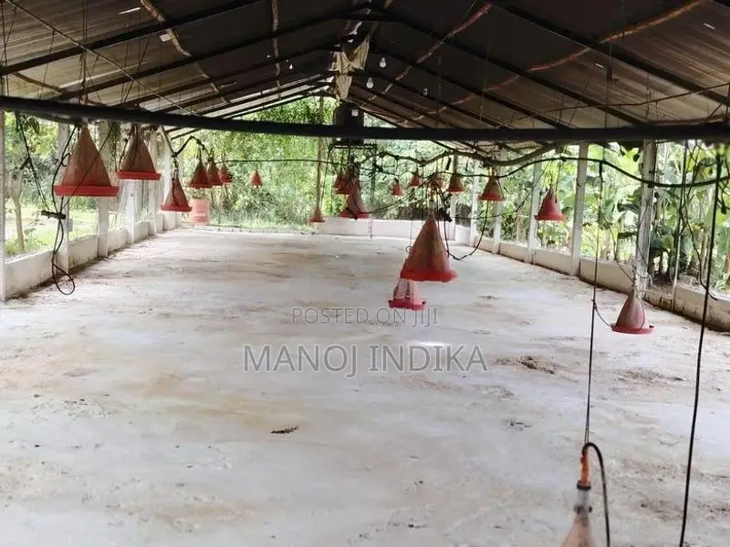 Poultry Farm for Sale Kanaththewewa