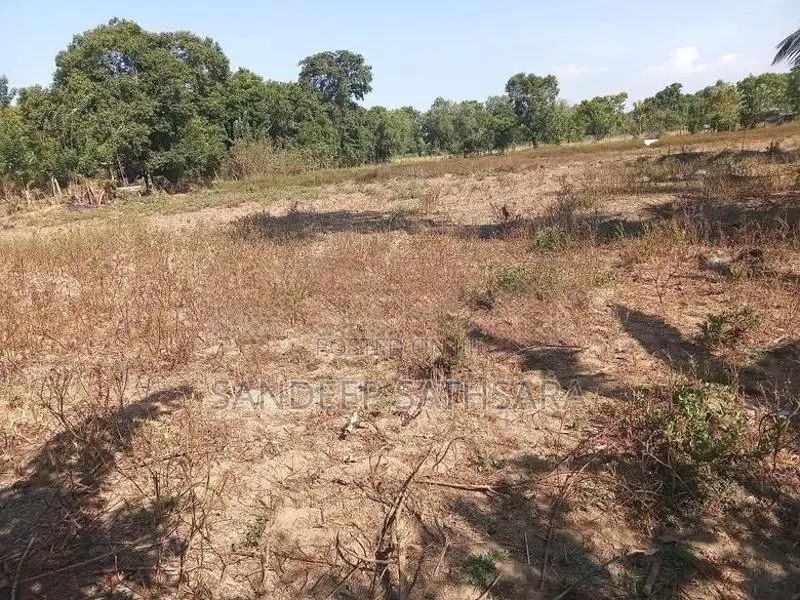 Gonagolla Bandaraduwa Idamak Vikinimata