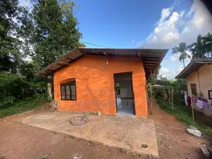 ( Ts-1142) Valuable Brand New Single Storey House Sale in Homagama