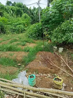 Kandy Land Sale