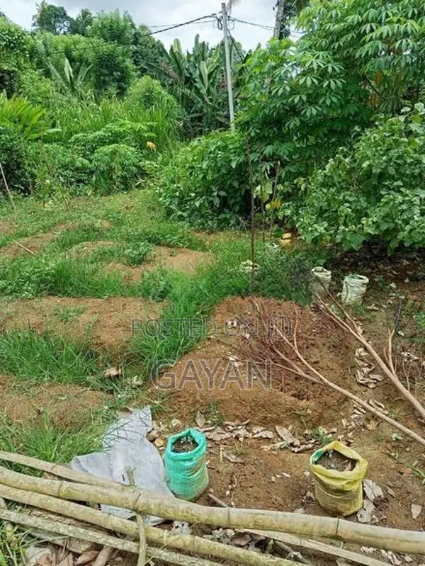 Kandy Land Sale