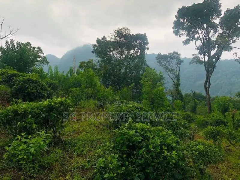 Kithulgala -Kalugala, 157 Perches Land for Sale (sspl-387)