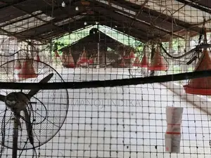 Poultry Farm for Sale Kanaththewewa