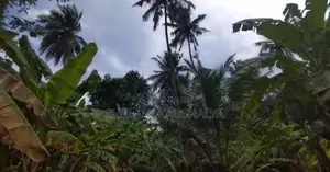 Land with Home Sale Polonnaruwa