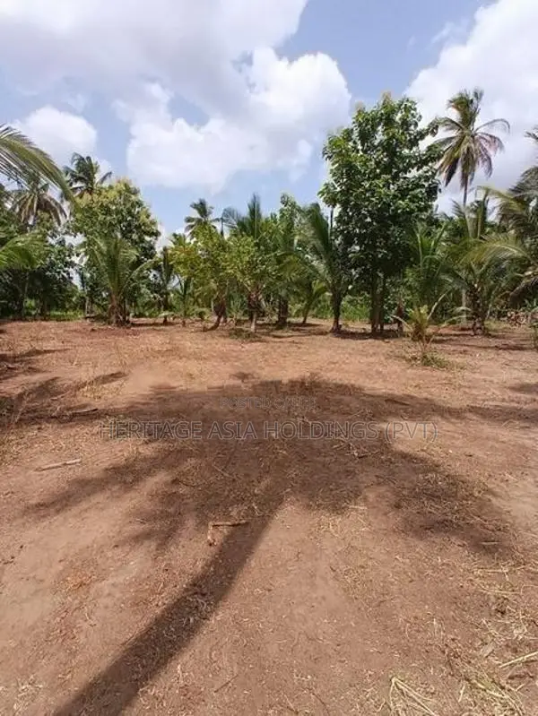 අනුරාධපුර රුවන්වැලිසෑයට ආසන්නව සින්නක්කර බිම් කොටස්