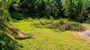 Kamburugamuwa, Matara – Ideal Land for Sale